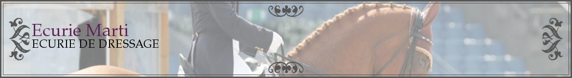 Ecurie Marti